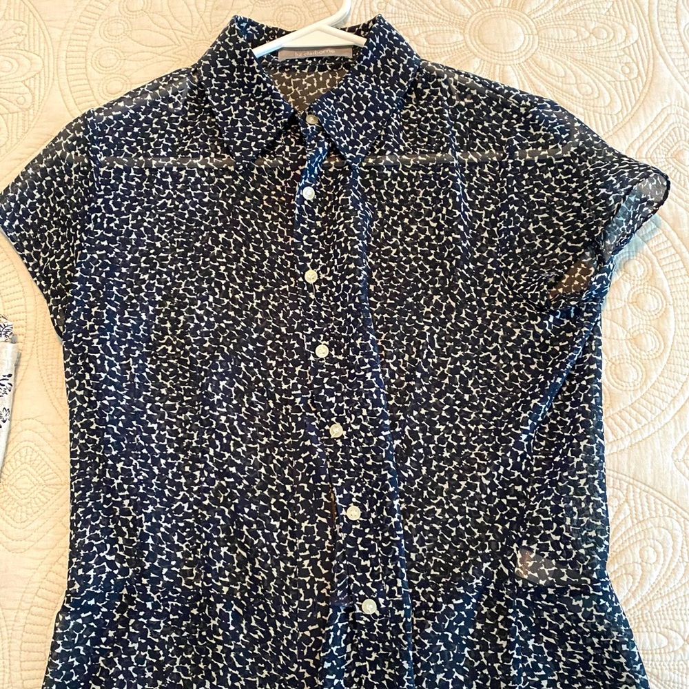 Short sleeve blouse, sheer, blue and white.